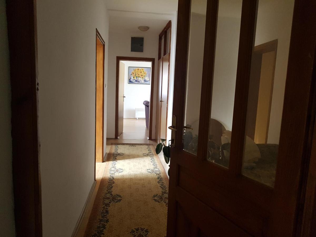 Apartman Jovanovic Daire Bajina Basta Dış mekan fotoğraf