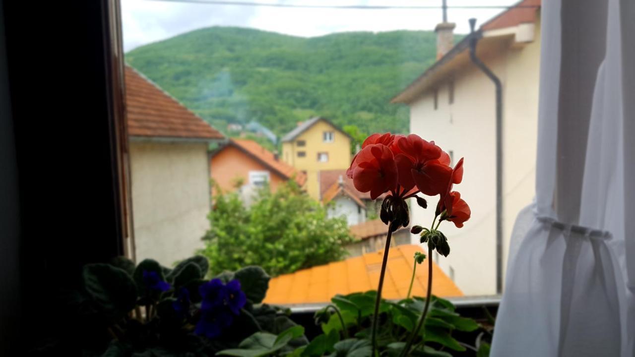 Apartman Jovanovic Bajina Basta Dış mekan fotoğraf